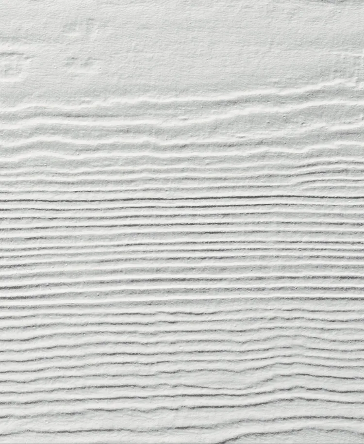 Arctic White